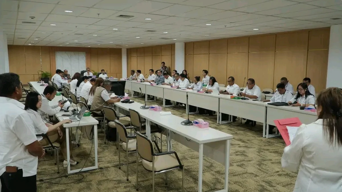 Peserta pemerintah daerah mengikuti rapat digitalisasi keuangan daerah TP2DD